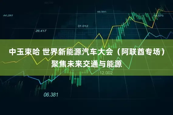 中玉束哈 世界新能源汽车大会（阿联酋专场）聚焦未来交通与能源
