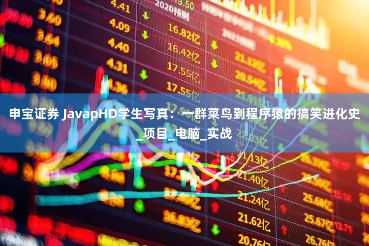 申宝证券 JavapHD学生写真：一群菜鸟到程序猿的搞笑进化史_项目_电脑_实战