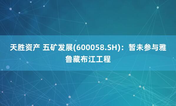 天胜资产 五矿发展(600058.SH)：暂未参与雅鲁藏布江工程